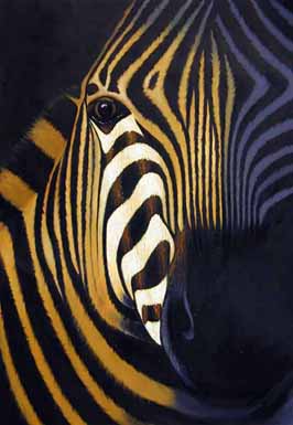 Zebra I
