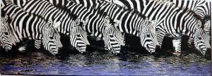 Zebre