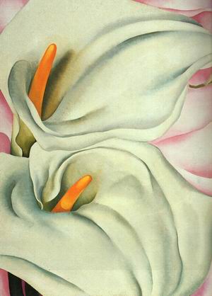 Two Cala Lilies on Pink ,1928
