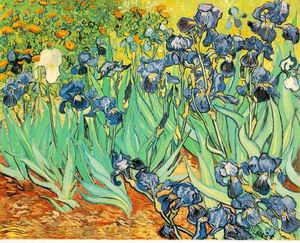 Irises 1889