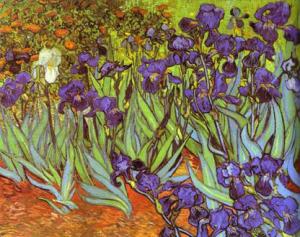 Irises 1889