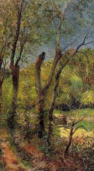 Willows