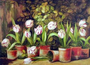 A dozen Tulips