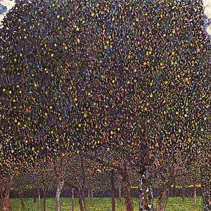 Pear Tree, 1903