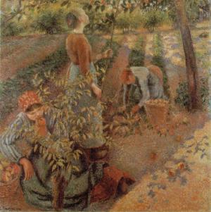 Apple-Picking 1886