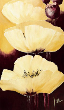 Yellow Poppies II