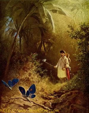 A Butterfly Catcher