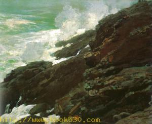 High Cliff, Coast of Maine 1894