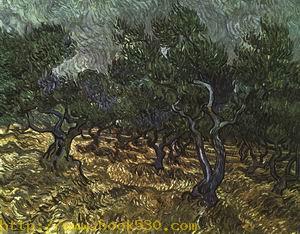 The Olive Grove 1889