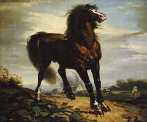 The Horse