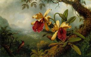 Orchids and Hummingbird c.1875-83