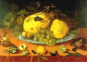 Fruit still life with shells 1620