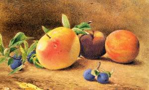 Study of Fruit 1877