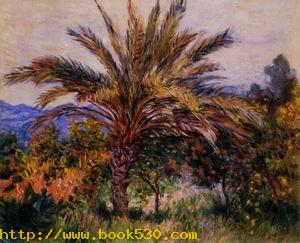 A Palm Tree at Bordighera 1884