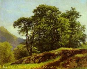 Beech Forest in Switzerland 1863