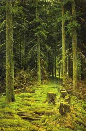 Coniferous Forest 1873
