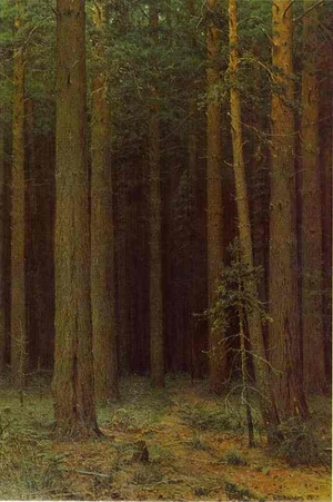 Forest Reserve Pine Grove 1881