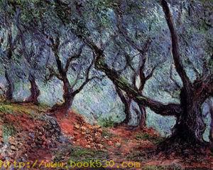 Grove of Olive Trees in Bordighera 1884