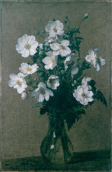 Japanese Anemones