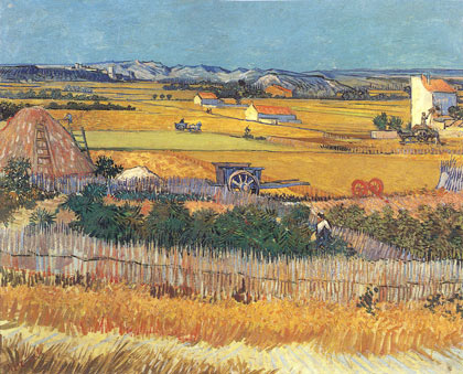 Vegetable Gardens