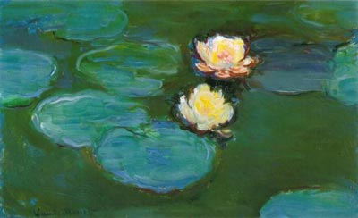 Water-Lilies