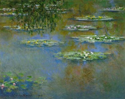 Water-Lilies