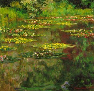 Water-Lilies