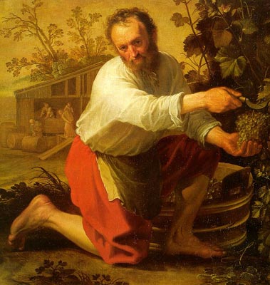 The Grape Grower