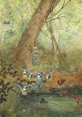 Woodland Interior with Bluebirds