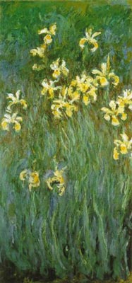 Yellow Irises