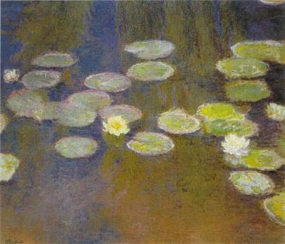 Water-Lilies