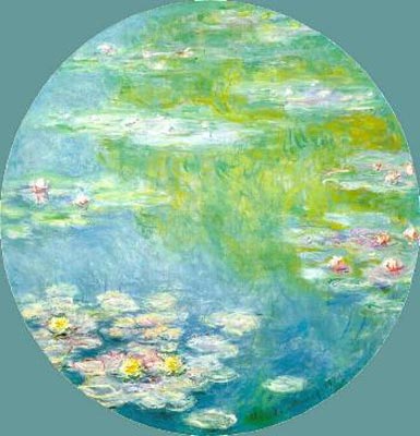 Water-Lilies