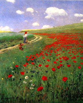 A Field of Poppies