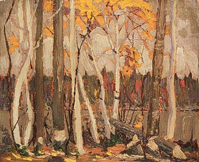 Autumn Birches and Poplars, Canoe Lake