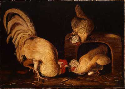 Farmyard Fowls