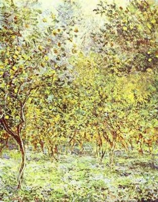 Lemon Trees, Bordighera