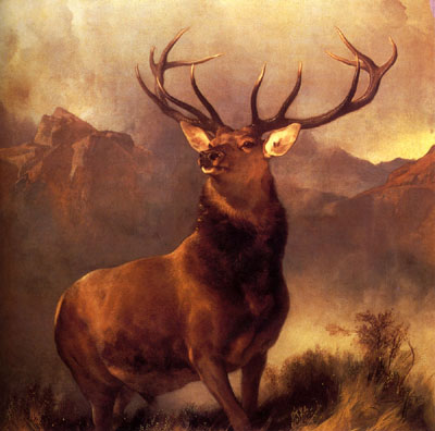 Monarch Of The Glen