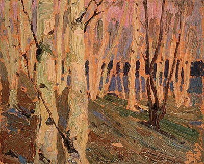 Birch Grove