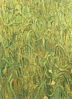 Ears of Wheat