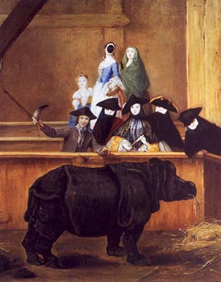 Exhibition of a Rhinoceros at Venice