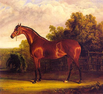 Negotiator, the Bay Horse in a Landscape
