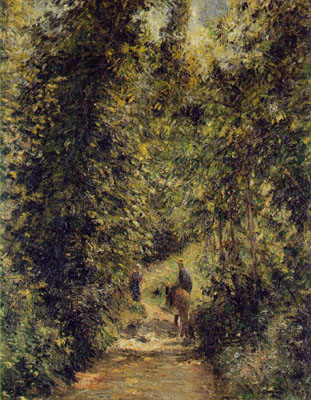 Path through the Woods in Summer