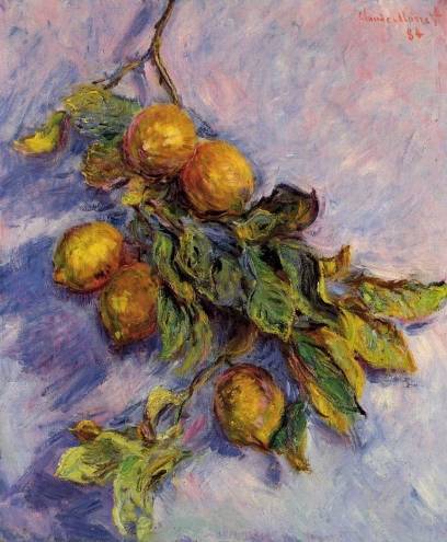 Claude Monet - Lemons on a Branch