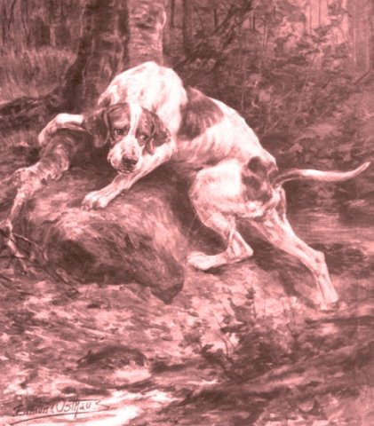 Edmund Henry Osthaus - Sepia Print of Pointer by a Stream