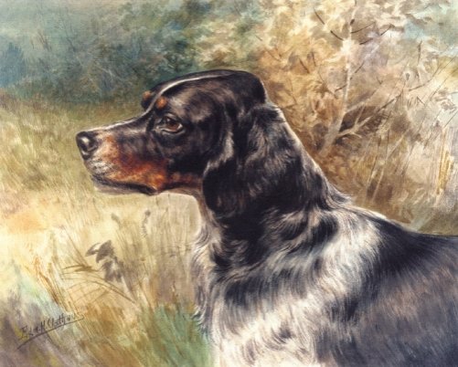 Edmund Henry Osthaus - The English Setter Henry C