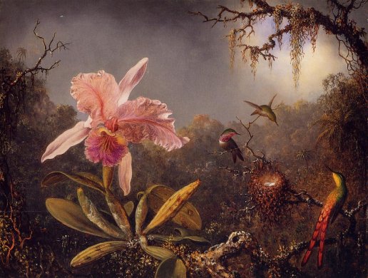 Martin Johnson Heade - Cattleya Orchid and Three Brazilian Hummingbirds