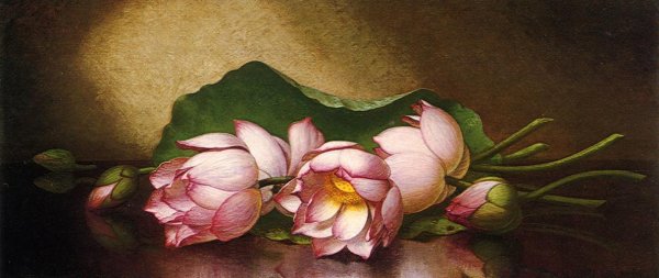 Martin Johnson Heade - Egyptian Lutus Blossom