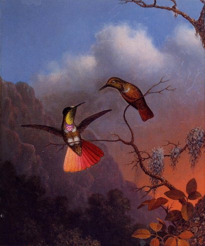 Martin Johnson Heade - Hooded Visorbearer