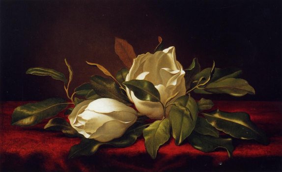 Martin Johnson Heade - Magnoliae Grandeflorae