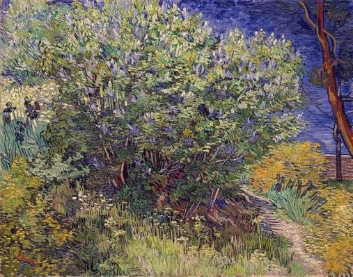 Vincent van Gogh - Lilac Bush